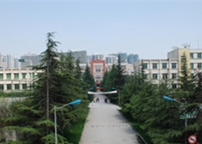 林荫小道.jpg 林荫小道.jpg