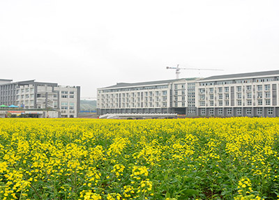 校园风景3.jpg 校园风景3.jpg