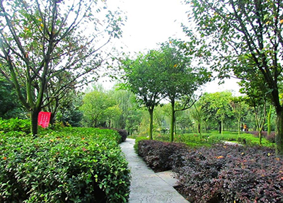 学校环境 学校环境