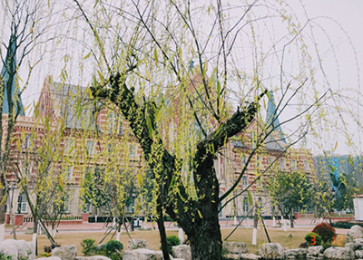 校园春色2.jpg 校园春色2.jpg