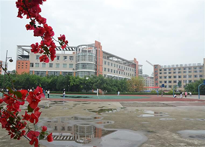 学校环境 学校环境