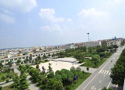 学校全貌 学校全貌