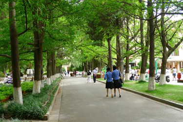 四川省江油市职业中学校2020年汽修招生分数线 四川省江油市职业中学校2020年汽修招生分数线
