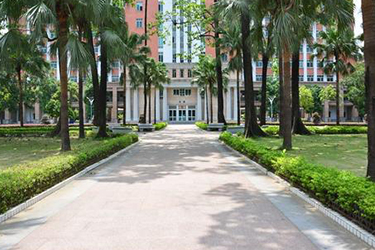 南充交通职业学校2019年专业录取分数线