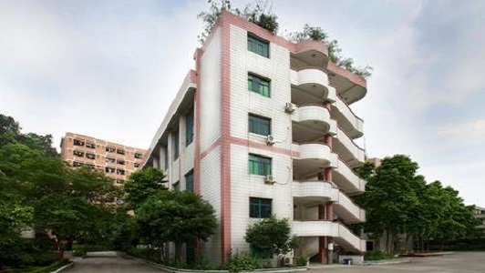 重庆市南丁卫生职业学校官方网站 重庆市南丁卫生职业学校官方网站
