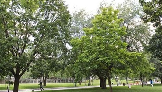 泸州市江阳职业高级中学校校园环境 泸州市江阳职业高级中学校校园环境