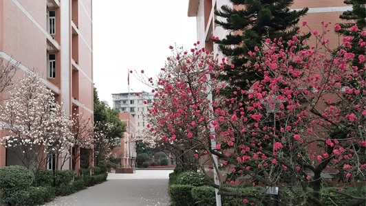 四川省内江市第六职业中学 四川省内江市第六职业中学