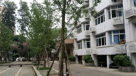 四川省荣县职业高级中学校校园环境 四川省荣县职业高级中学校校园环境