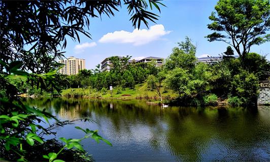 重庆能源职业学院校园环境 重庆能源职业学院校园环境