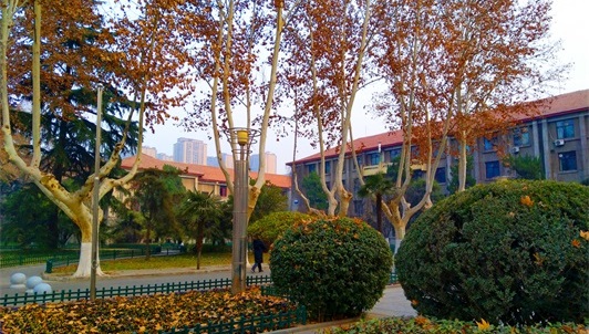 峨边彝族自治县职业高级中学校校园环境