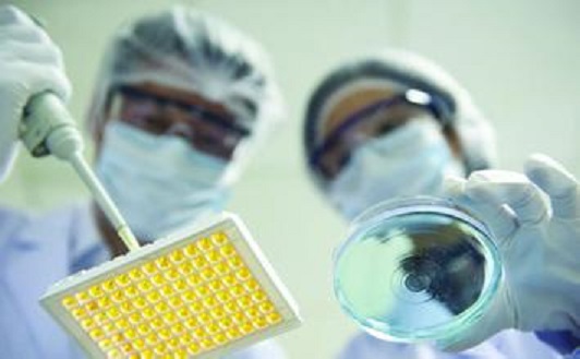 生物技术制药专业 生物技术制药专业