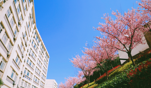 自贡市永安职业中学校地址 自贡市永安职业中学校地址