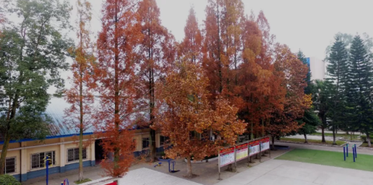 四川省遂宁市安居职业高级中学校地址 四川省遂宁市安居职业高级中学校地址