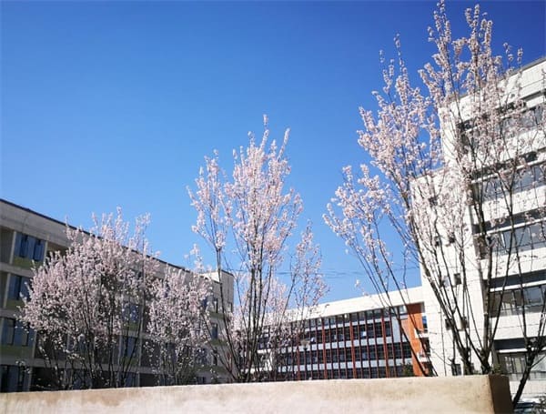 黔南州布依族苗族自治州贵定师范学校 黔南州布依族苗族自治州贵定师范学校