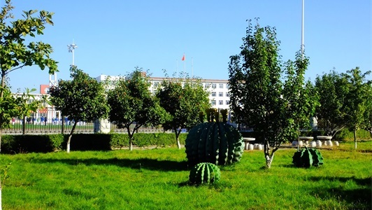 合江县福宝职业中学校校园环境 合江县福宝职业中学校校园环境