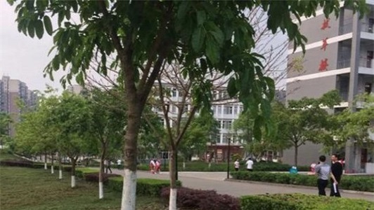 井研县高级职业中学校园环境 井研县高级职业中学校园环境