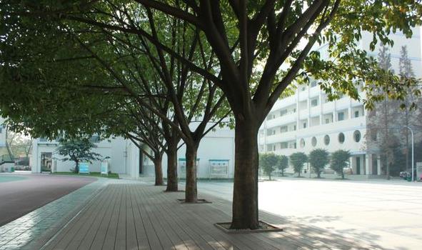 成都市洞子口职业高级中学校校园风景 成都市洞子口职业高级中学校校园风景