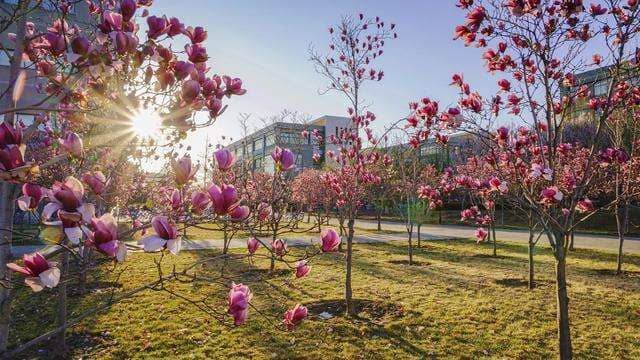 旺苍县技工学校简介 旺苍县技工学校简介