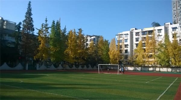 四川省崇州市职业中专学校操场环境 四川省崇州市职业中专学校操场环境