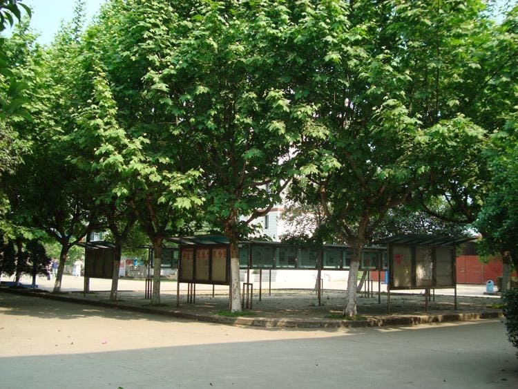 四川省工业贸易学校 四川省工业贸易学校