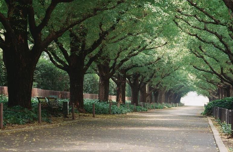 荣县技工学校简介 荣县技工学校简介