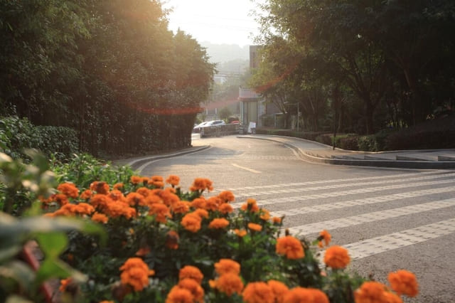 成都市体育运动学校简介 成都市体育运动学校简介