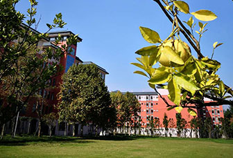 成都广信数字技术职业学校 成都广信数字技术职业学校