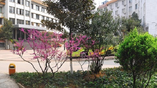 贵阳市城乡建设学校 贵阳市城乡建设学校