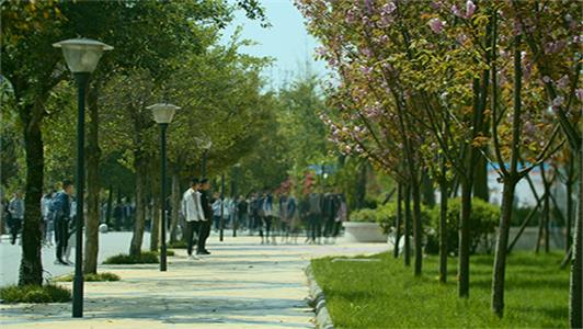 成都工贸职业技术学院怎么提升学历 成都工贸职业技术学院怎么提升学历