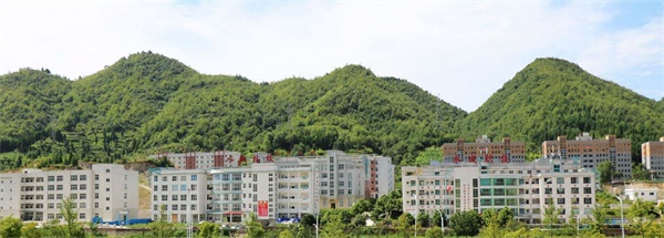 水城县职业技术学校 水城县职业技术学校