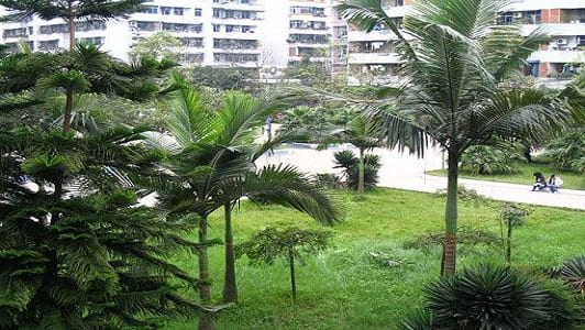 荣县技工学校校园一角 荣县技工学校校园一角