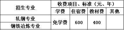 攀钢集团成都钢铁有限责任公司技工学校收费标准 攀钢集团成都钢铁有限责任公司技工学校收费标准