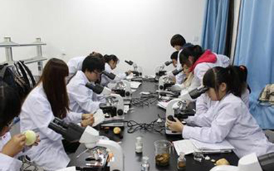四川卫校:达州卫生学校怎么样