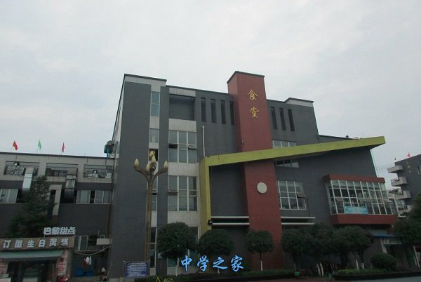 成都幼师专业的学校有哪些 成都幼师专业的学校有哪些