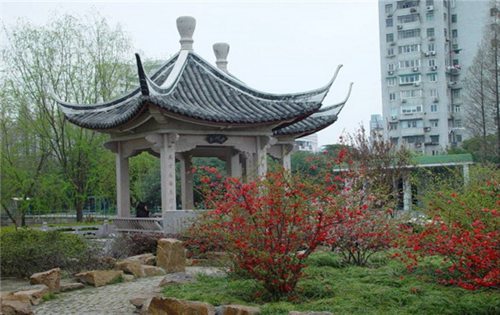 织金职校 织金职校