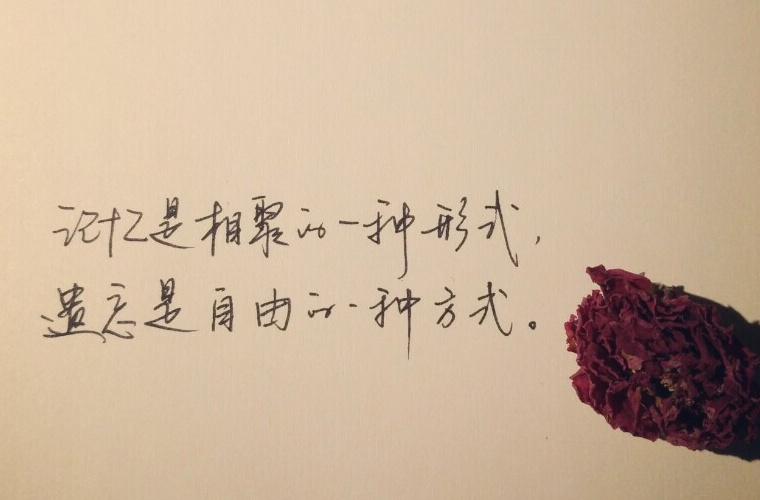 赫章县综合职业技术高级中学 赫章县综合职业技术高级中学