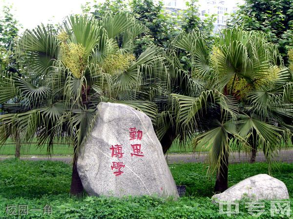 四川广播电视中等专业学校校园一角 四川广播电视中等专业学校校园一角