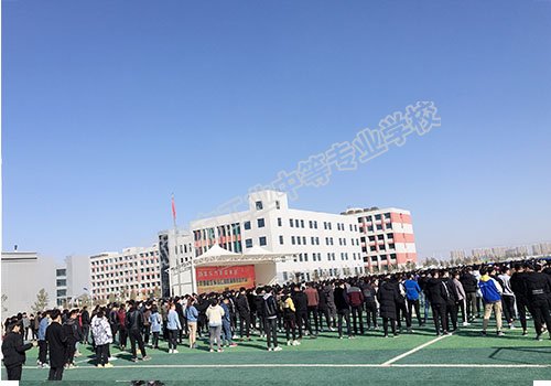 1606113023743442.jpg 3.jpg