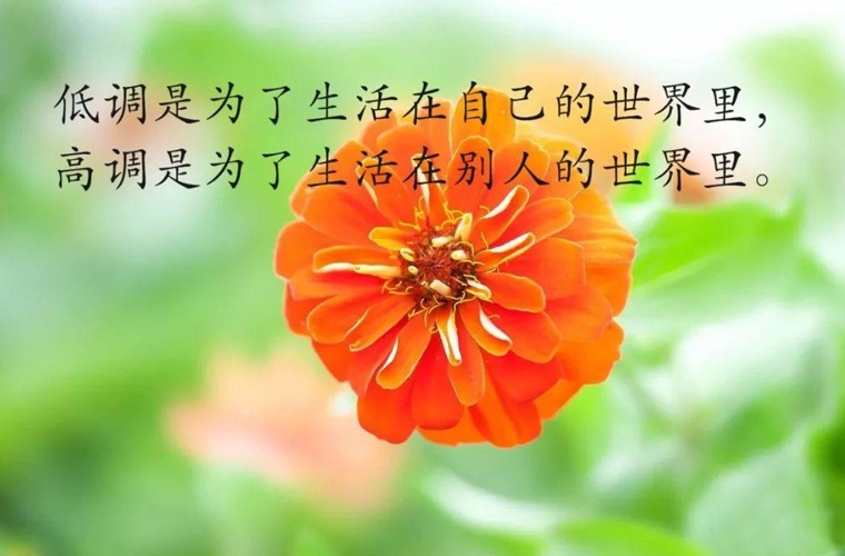灵武艺术设计学校 灵武艺术设计学校