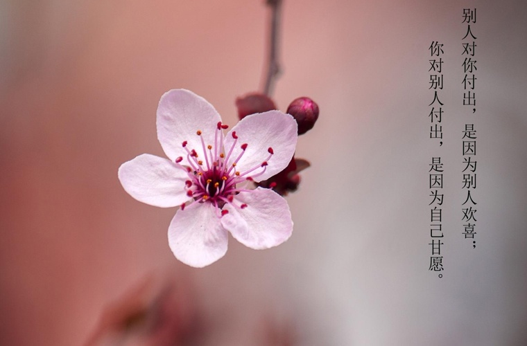 宁德艺术设计学校 宁德艺术设计学校