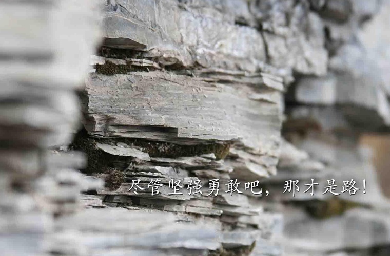 思南县中等职业学校 思南县中等职业学校