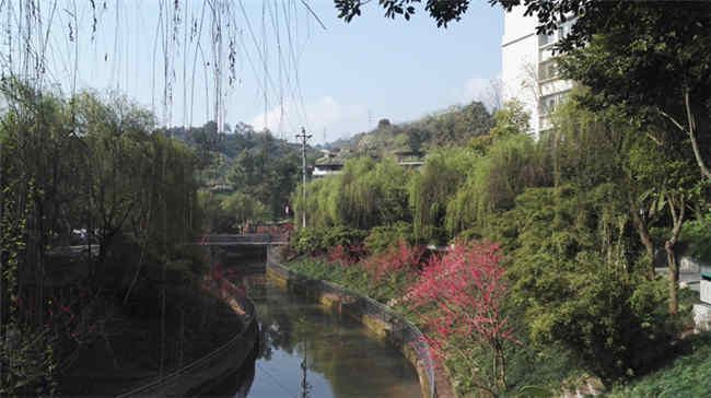 重庆市轻工业学校图片、照片 重庆市轻工业学校图片、照片