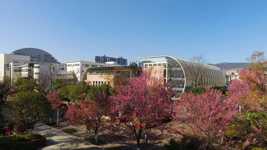 云南农业大学院校环境