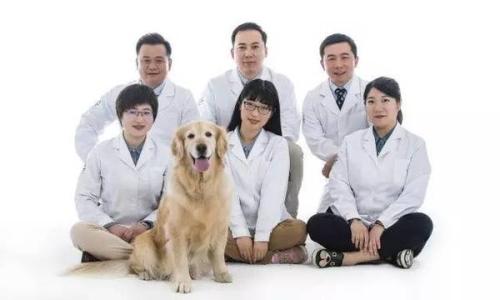 云南农业大学动物医学专业介绍