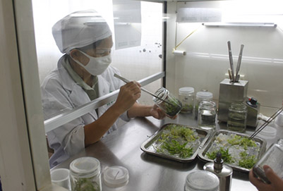 云南省林业高级技工学校现代林业