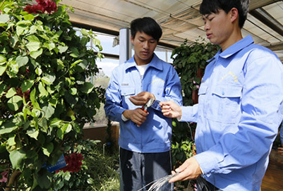 云南省林业高级技工学校园林技术2