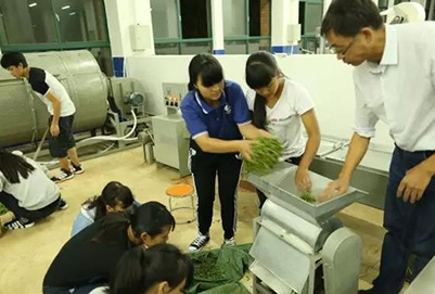 临沧高级技工学校茶叶生产与加工