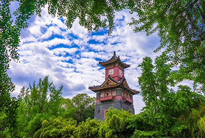 云南科技信息职业学院风景