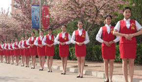 乘务类专业学生 乘务类专业学生