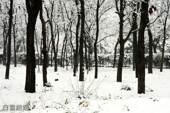 太原铁路机械学校白雪皑皑